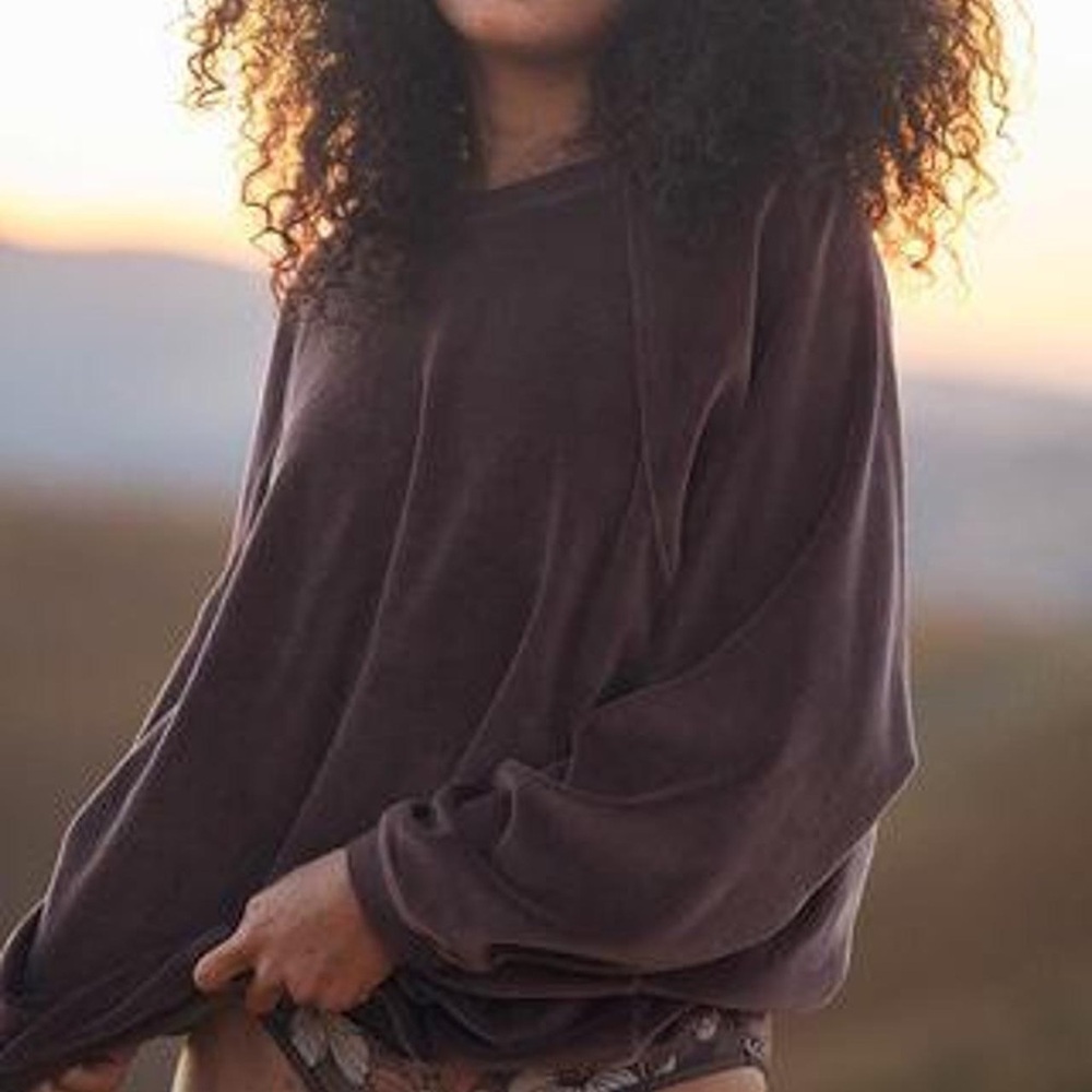 Aerie Brown Velvet Sweatshirt